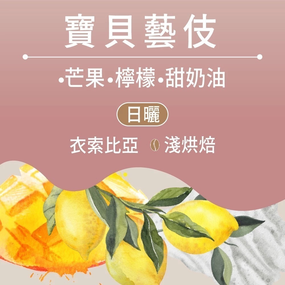 寶貝藝伎(日曬)｜淺焙(10包)