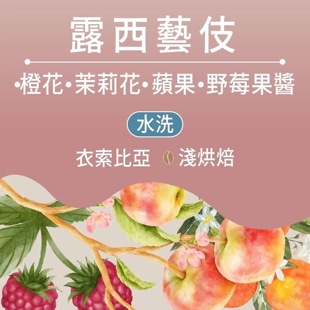 露西藝伎(水洗)｜淺焙(10包)