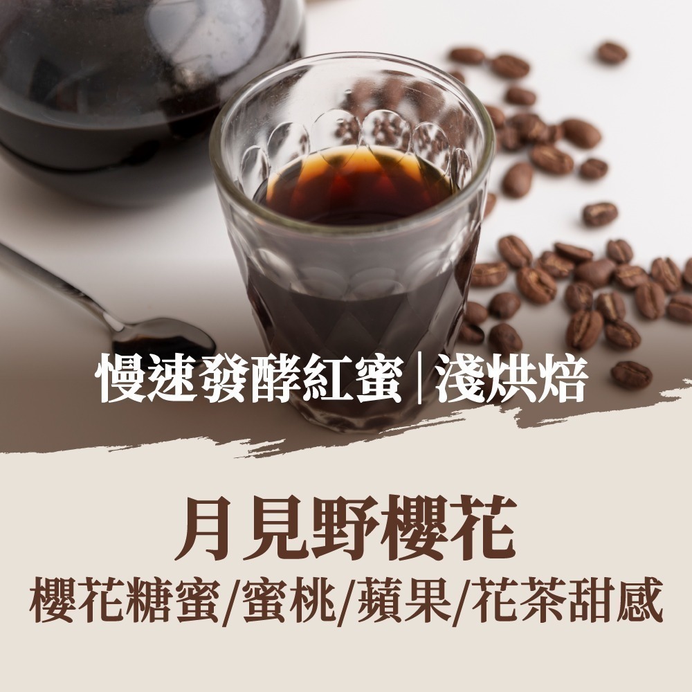 【挑戰精品濾掛咖啡最低價】濾掛咖啡 精品咖啡 單品濾掛咖啡 濾掛式咖啡 耳掛咖啡 黑咖啡 耳掛式咖啡 咖啡【啡茶時刻】-規格圖9