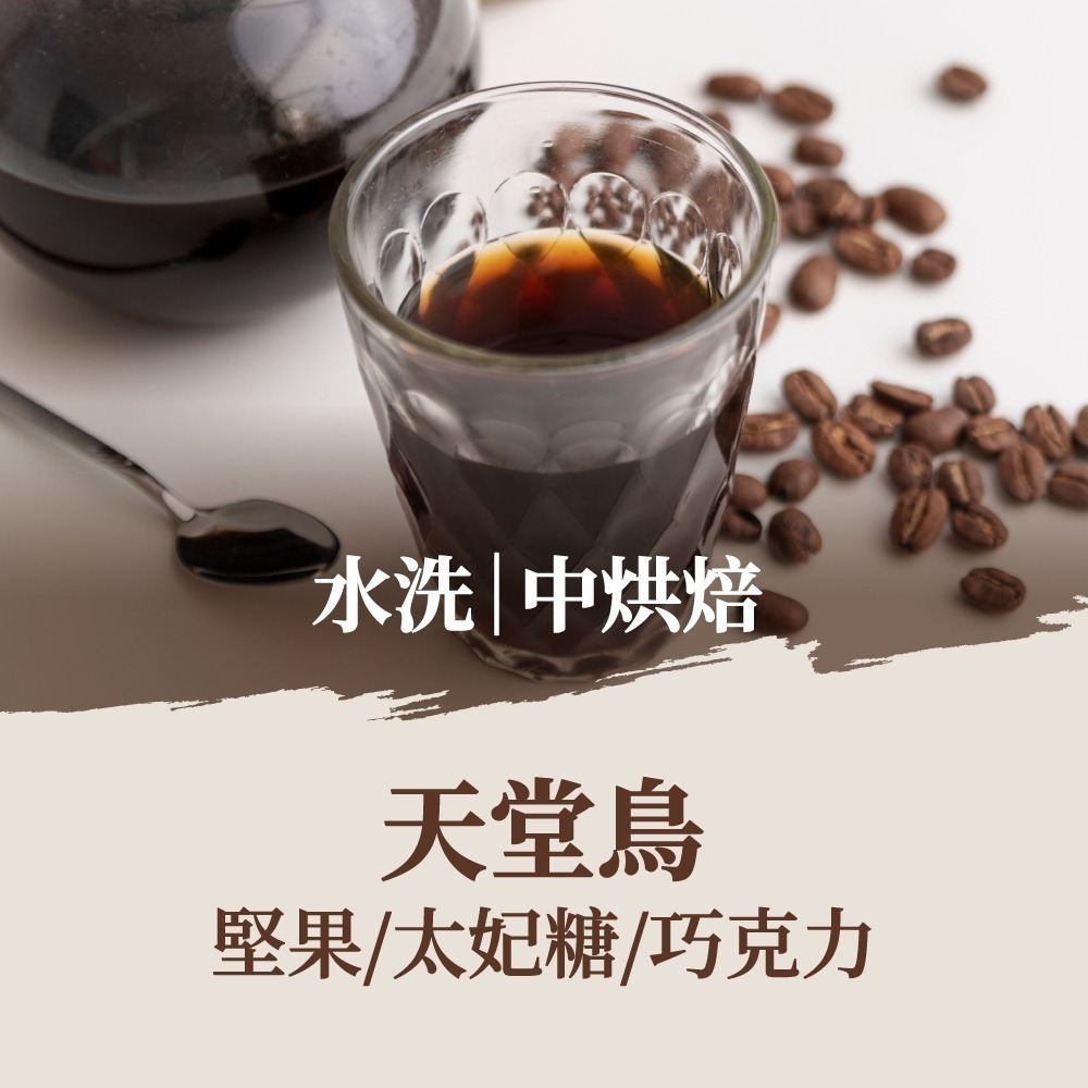 天堂鳥｜中焙(10包)