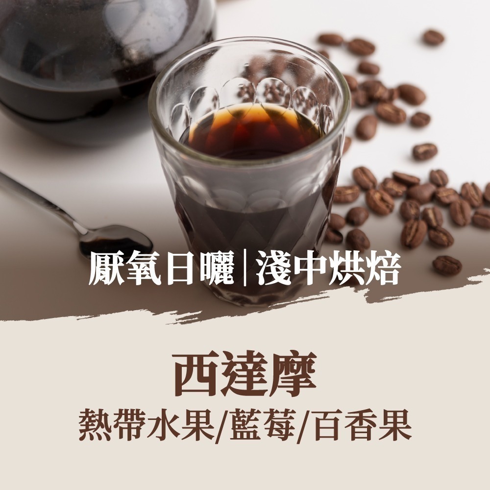 西達摩(厭氧日曬)｜淺中焙(10包)