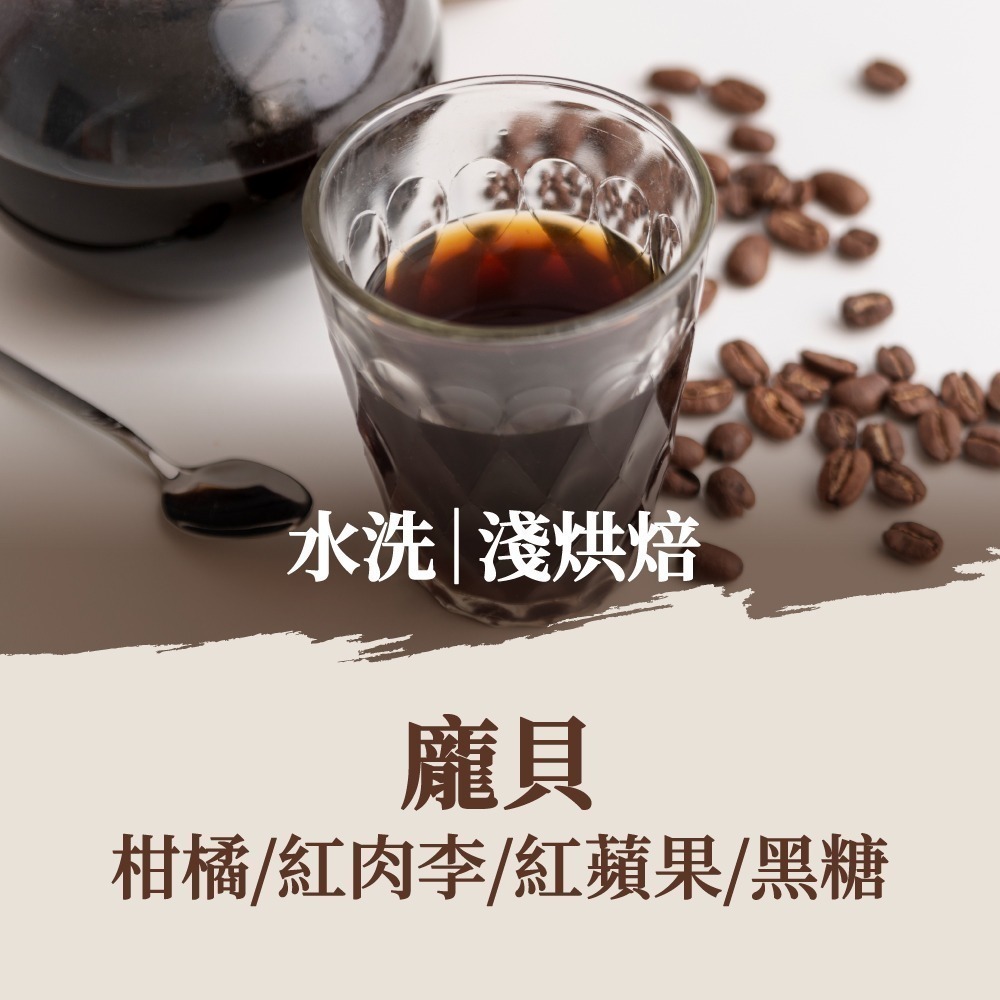 龐貝(水洗)｜淺焙(10包)