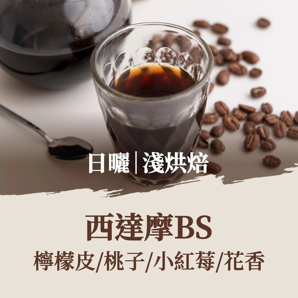 西達摩BS｜淺焙(10包)
