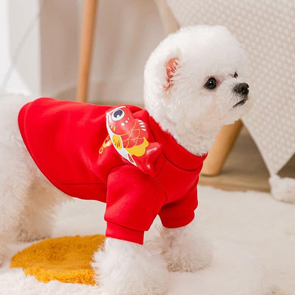 『台灣x現貨秒出』立體錦鯉過年新年寵物衣服 貓咪衣服 狗狗衣服 寵物保暖服飾 寵物服飾