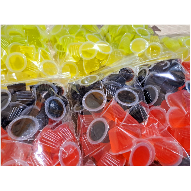 甲蟲專用超營養果凍-細節圖2