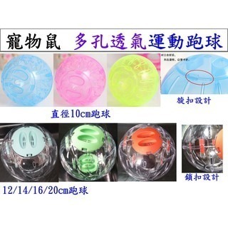 【YeeGo 億購寵物 】倉鼠 跑球 倉鼠玩具 倉鼠跑球-細節圖3