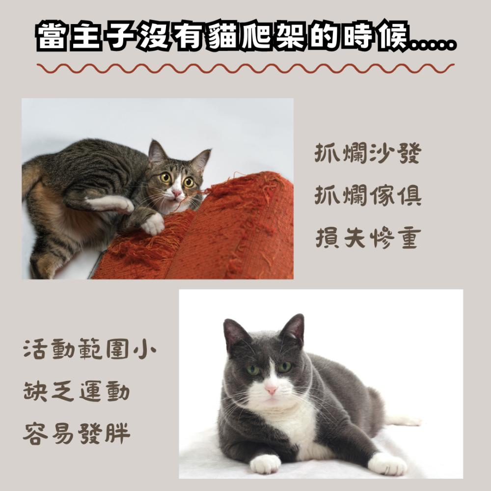 【億品購批發倉】豪華絨布大型貓跳台-225-細節圖4