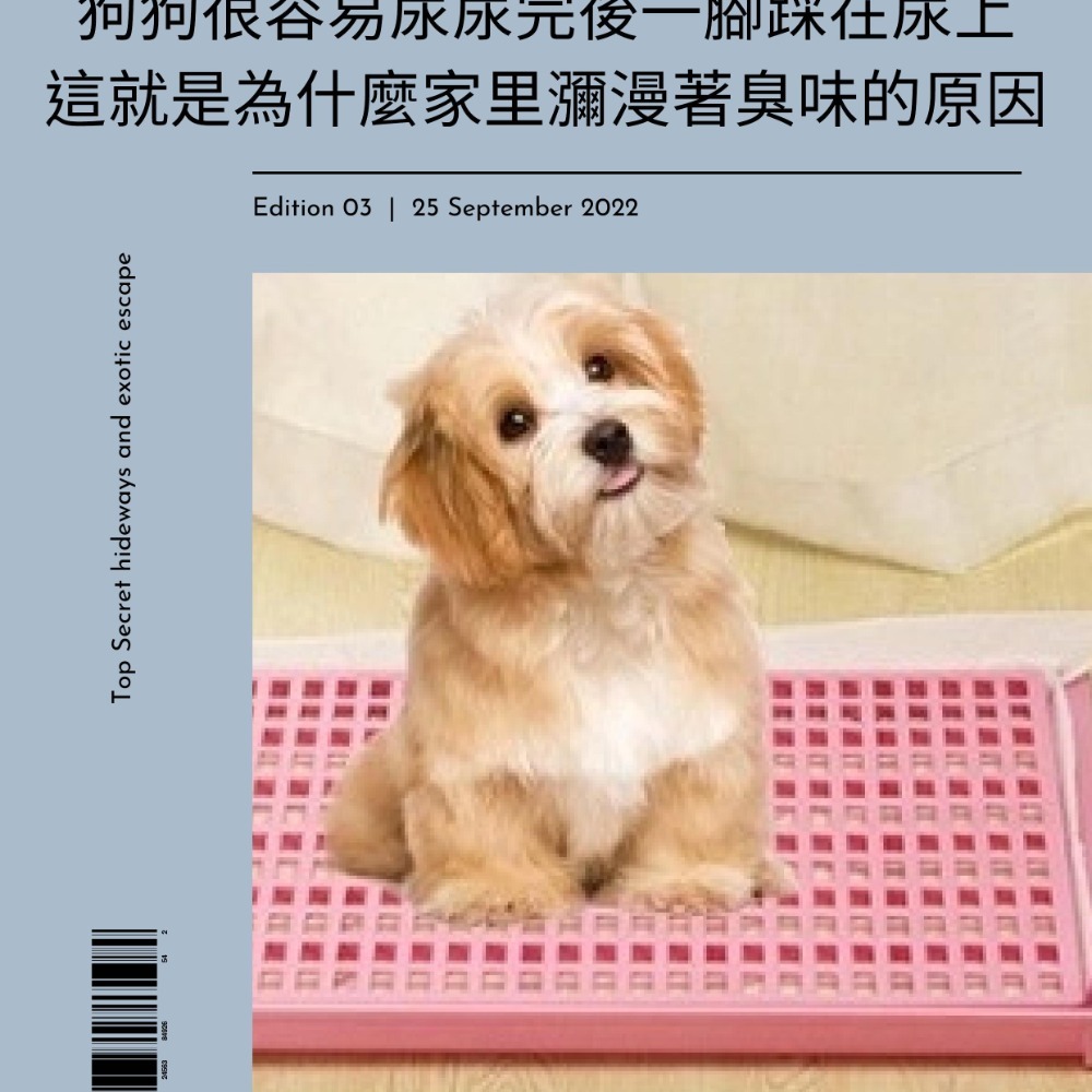 【YeeGo 億購寵物】犬皇專用高強化版平板狗廁 狗廁所 狗便盆 平板狗廁所 寵物訓練 寵物尿盆-細節圖8