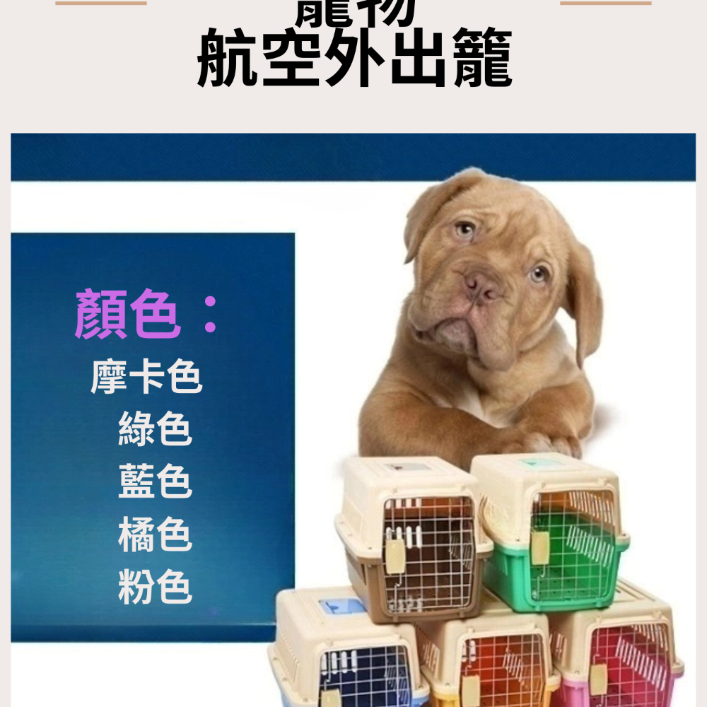 【YeeGo 億購寵物】XL號 IATA 犬貓兔鼠用 航空箱 航空籠 航空運輸籠 外出籠 寵物提籠-細節圖7