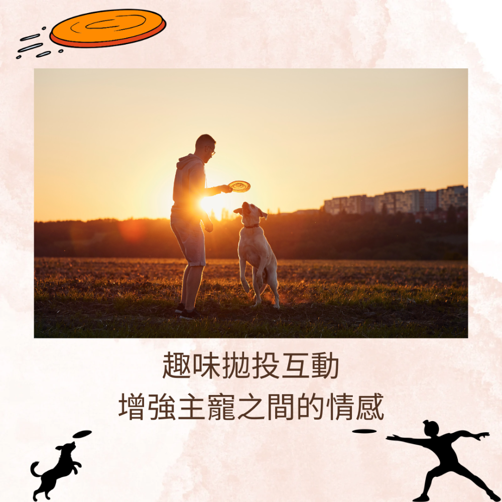 【YeeGo 億購寵物】沙灘飛盤 訓犬專用/耐咬 飛盤 狗飛盤 狗玩具 環保材質 安全無毒 訓練 安全飛盤-細節圖4