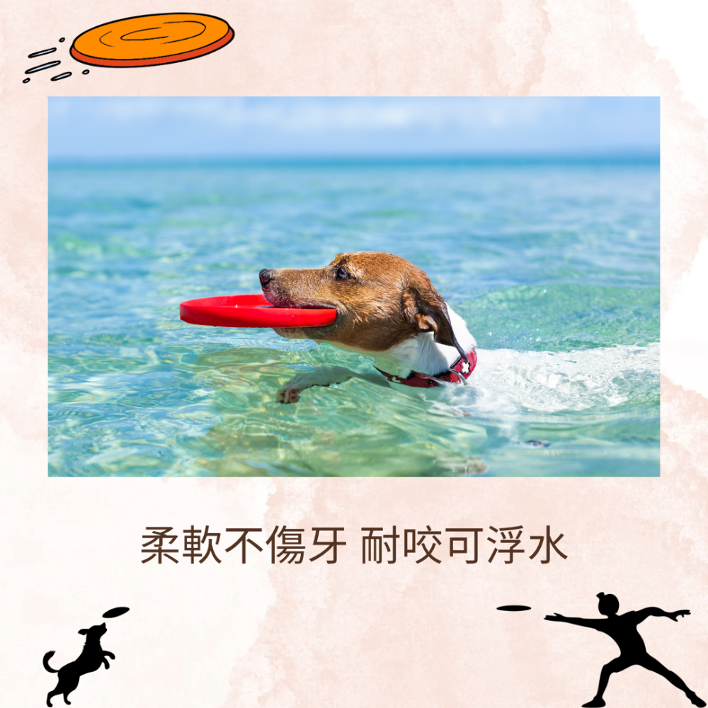 【YeeGo 億購寵物】沙灘飛盤 訓犬專用/耐咬 飛盤 狗飛盤 狗玩具 環保材質 安全無毒 訓練 安全飛盤-細節圖5