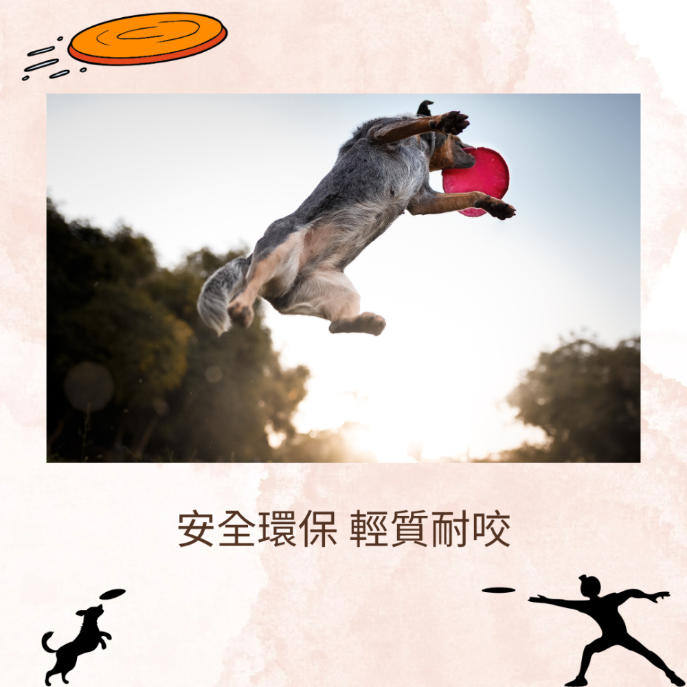 【YeeGo 億購寵物】沙灘飛盤 訓犬專用/耐咬 飛盤 狗飛盤 狗玩具 環保材質 安全無毒 訓練 安全飛盤-細節圖6