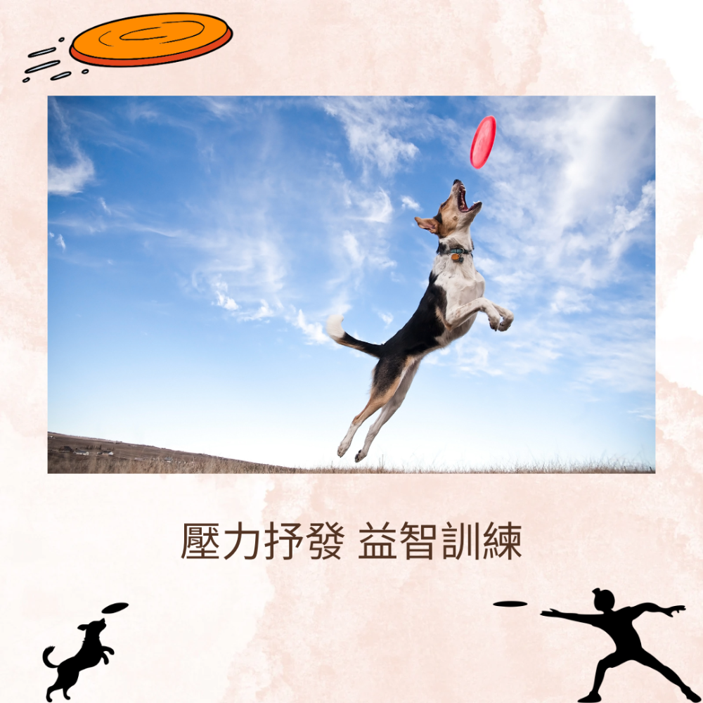 【YeeGo 億購寵物】沙灘飛盤 訓犬專用/耐咬 飛盤 狗飛盤 狗玩具 環保材質 安全無毒 訓練 安全飛盤-細節圖7