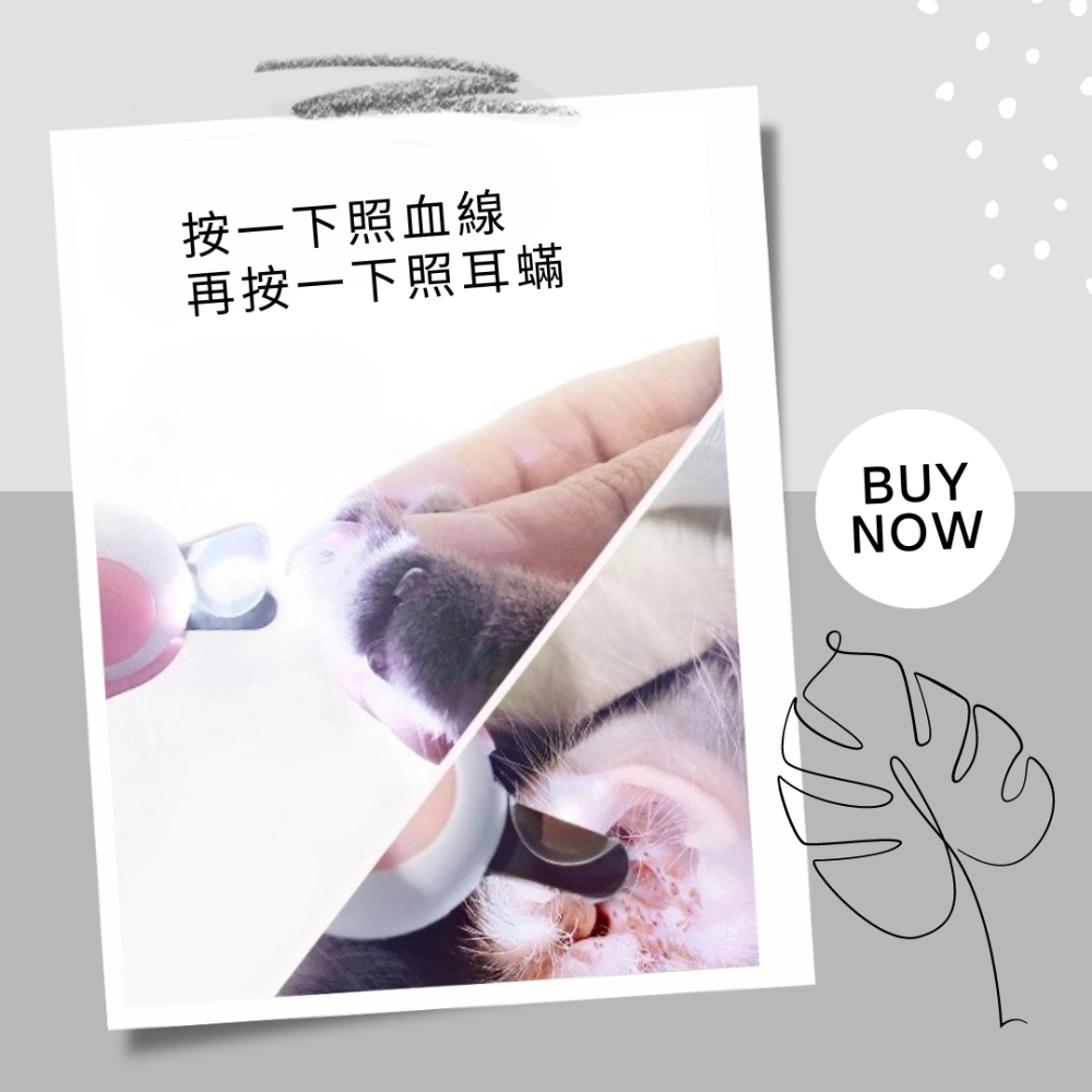 【YeeGo 億購寵物】迷你LED寵物指甲剪 寵物指甲剪  寵物修甲工具 寵物美容 LED發光指甲剪-細節圖3