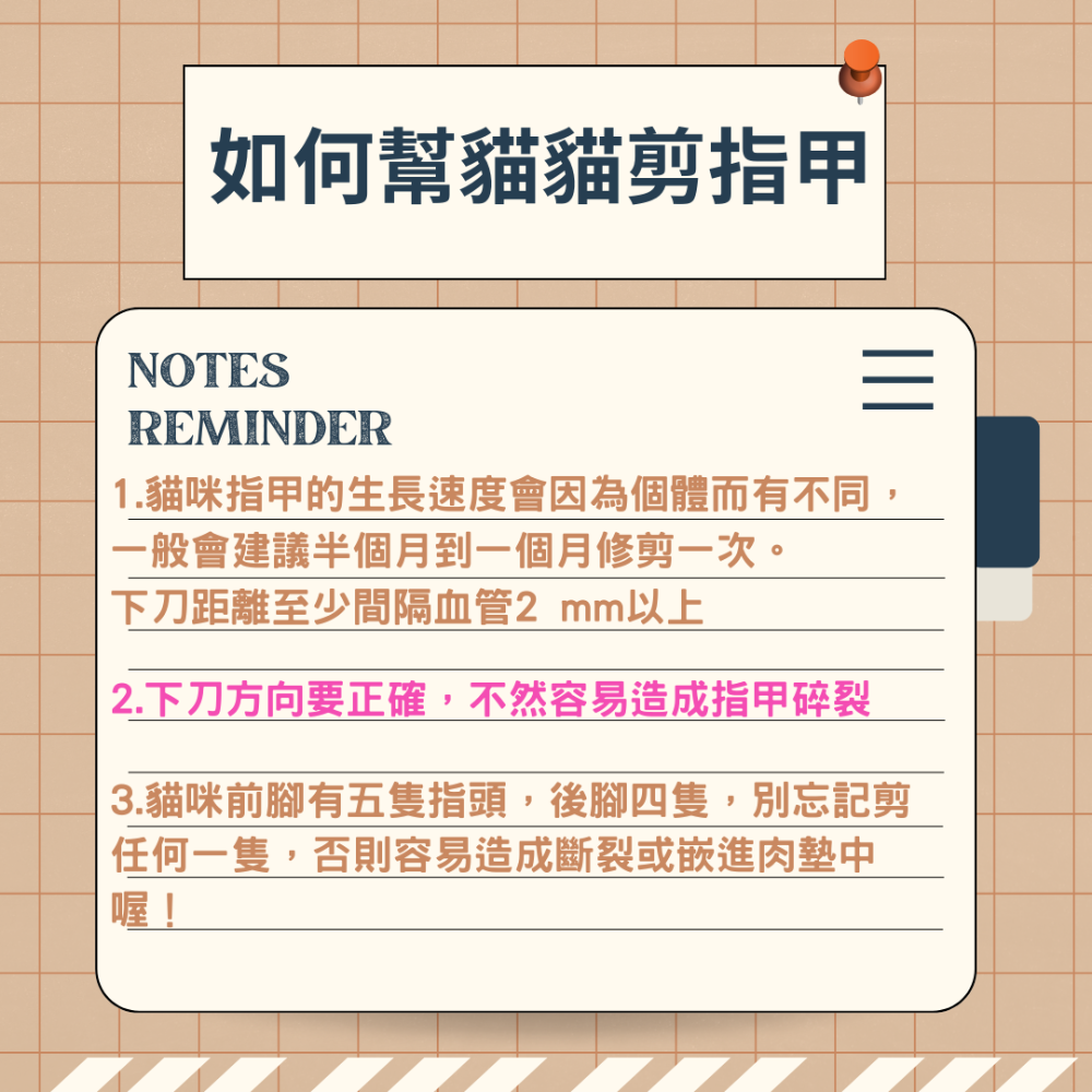【YeeGo 億購寵物】迷你LED寵物指甲剪 寵物指甲剪  寵物修甲工具 寵物美容 LED發光指甲剪-細節圖7