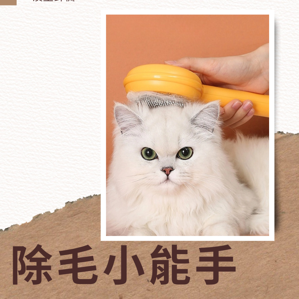 【YeeGo 億購寵物】漢堡包針梳 寵物梳  寵物梳毛 寵物梳  貓梳子 貓咪梳毛 梳毛器 寵物針梳 貓咪梳毛器-細節圖2