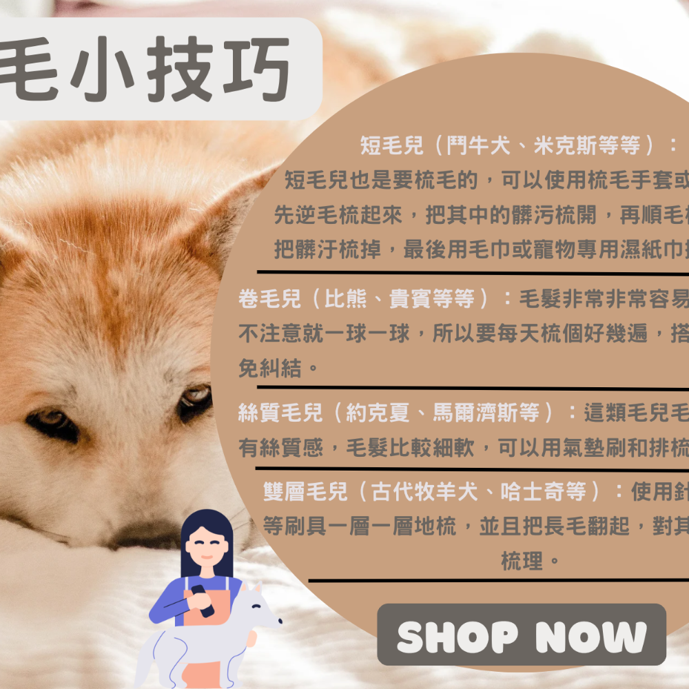 【YeeGo 億購寵物】貓耳一鍵除毛梳 寵物梳 寵物梳毛 寵物梳 貓梳子 貓咪梳毛 梳毛器 寵物針梳-細節圖7
