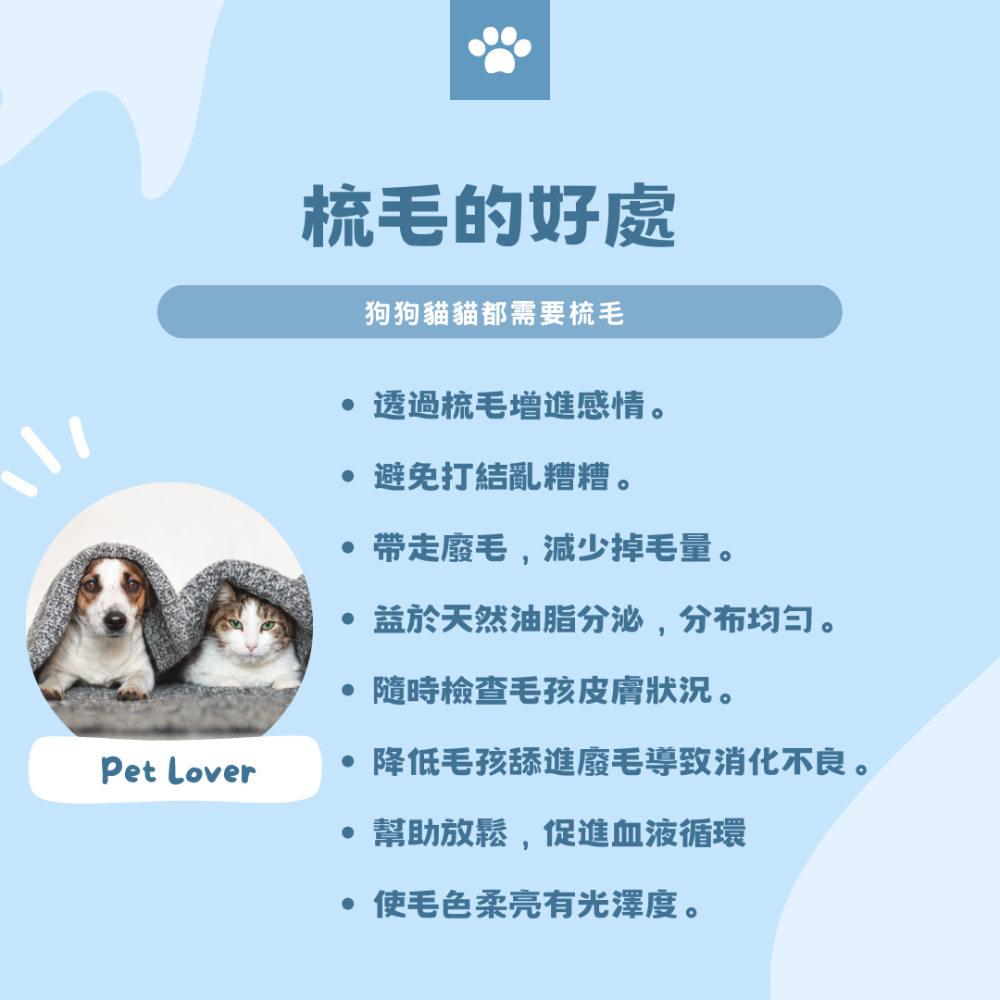 【YeeGo 億購寵物】不鏽鋼小型犬除蚤排梳 寵物除蚤梳 跳蚤梳 直排梳 寵物密齒梳 狗除蚤梳 貓除蚤梳 貓咪除蚤梳-細節圖4