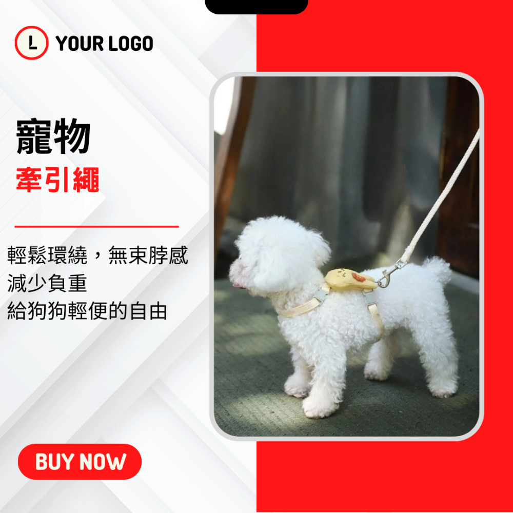 【YeeGo 億購寵物】小兔款工字型胸背帶套裝 貓咪牽繩 貓牽繩 寵物胸背帶 貓咪胸背帶 胸背帶-細節圖3