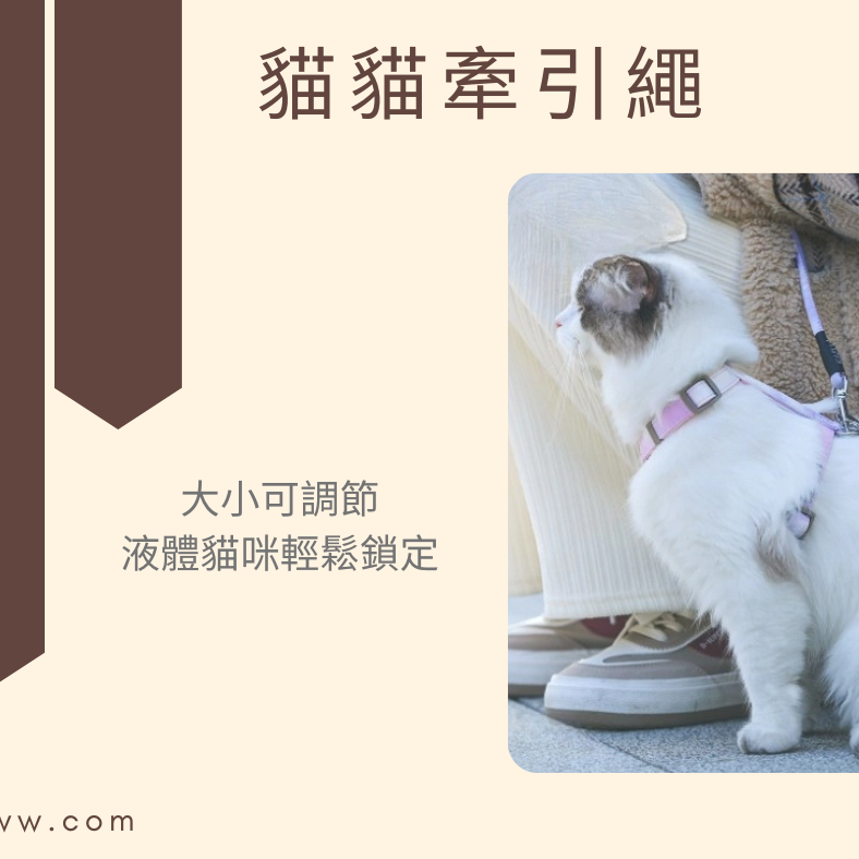 【YeeGo 億購寵物】漸變貓胸背帶 貓咪牽繩 貓牽繩 寵物胸背帶 貓咪胸背帶 胸背帶-細節圖3