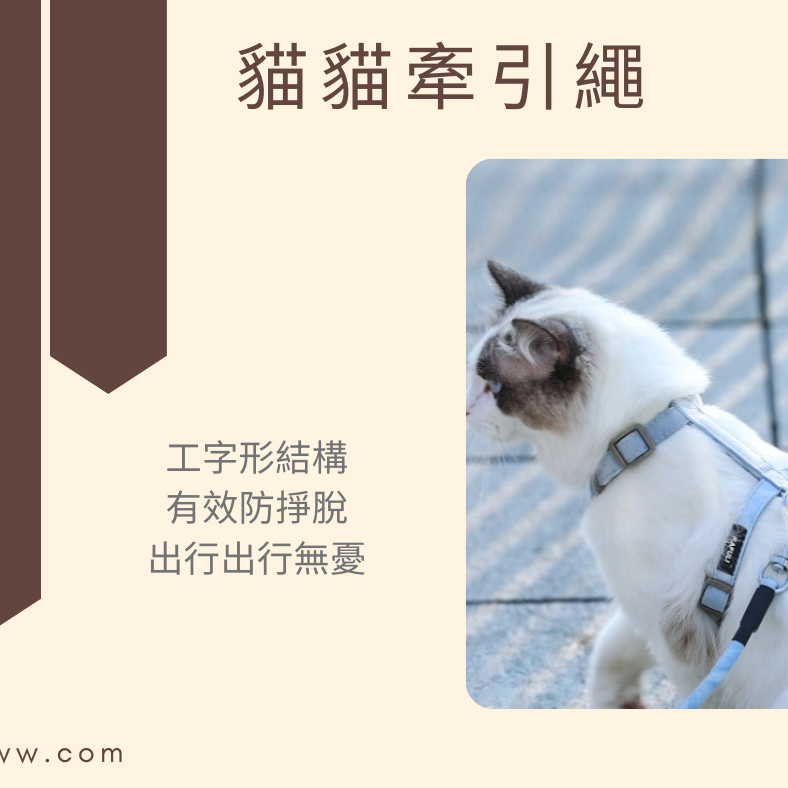【YeeGo 億購寵物】漸變貓胸背帶 貓咪牽繩 貓牽繩 寵物胸背帶 貓咪胸背帶 胸背帶-細節圖4