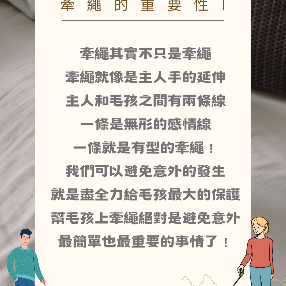 【YeeGo 億購寵物】漸變貓胸背帶 貓咪牽繩 貓牽繩 寵物胸背帶 貓咪胸背帶 胸背帶-細節圖7