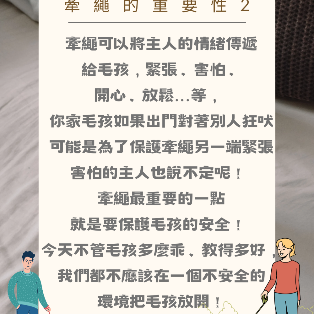 【YeeGo 億購寵物】漸變貓胸背帶 貓咪牽繩 貓牽繩 寵物胸背帶 貓咪胸背帶 胸背帶-細節圖8