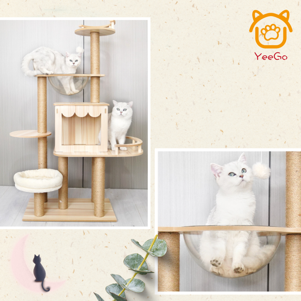 【億品購批發倉】四季通用木質貓跳臺-B16 只能一次下單一件-細節圖4