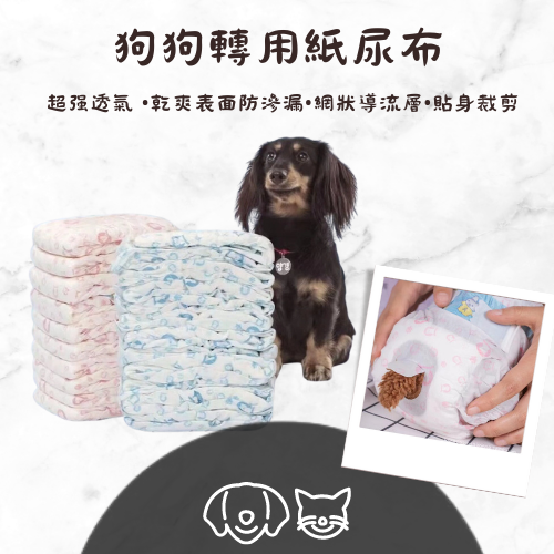 【YeeGo 億購寵物】買一送一 箱裝 母狗狗紙尿褲  寵物紙尿布 狗尿布 禮貌帶-細節圖2