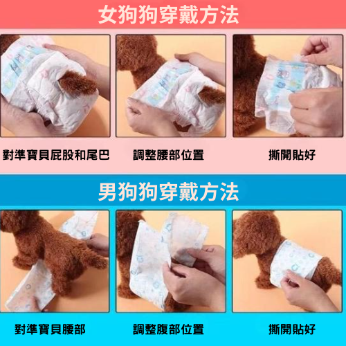 【YeeGo 億購寵物】買一送一 箱裝 母狗狗紙尿褲  寵物紙尿布 狗尿布 禮貌帶-細節圖5