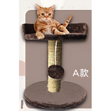 A款