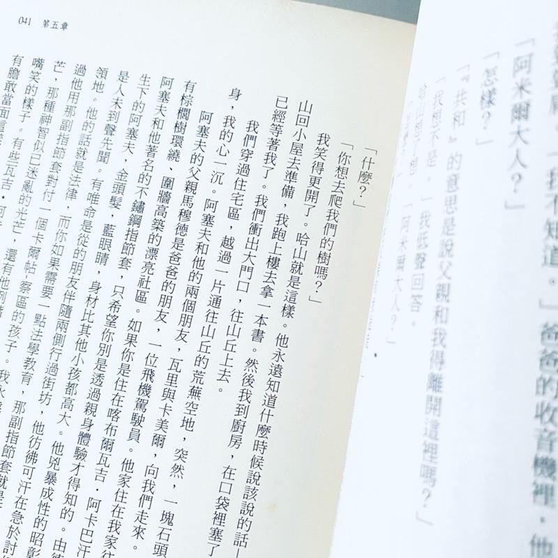 塔利班下的動容故事！【追風箏的孩子】感受脆弱與勇氣 小說 二手書-細節圖5