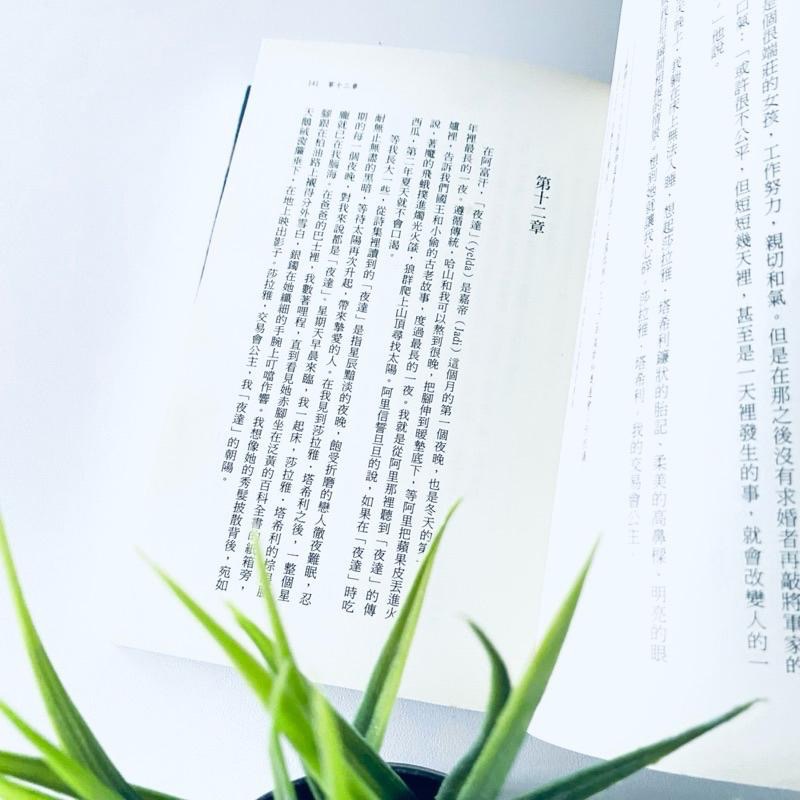 塔利班下的動容故事！【追風箏的孩子】感受脆弱與勇氣 小說 二手書-細節圖8