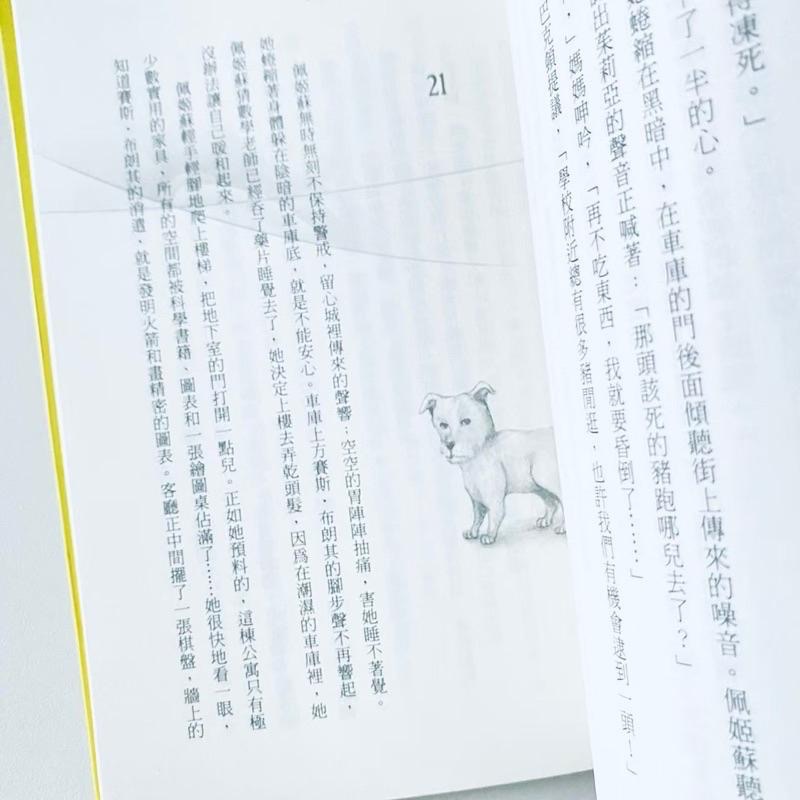 狂想小說！【法國_魔眼少女佩姬蘇】首部曲藍狗的日子 法國小說 全新二手書-細節圖7