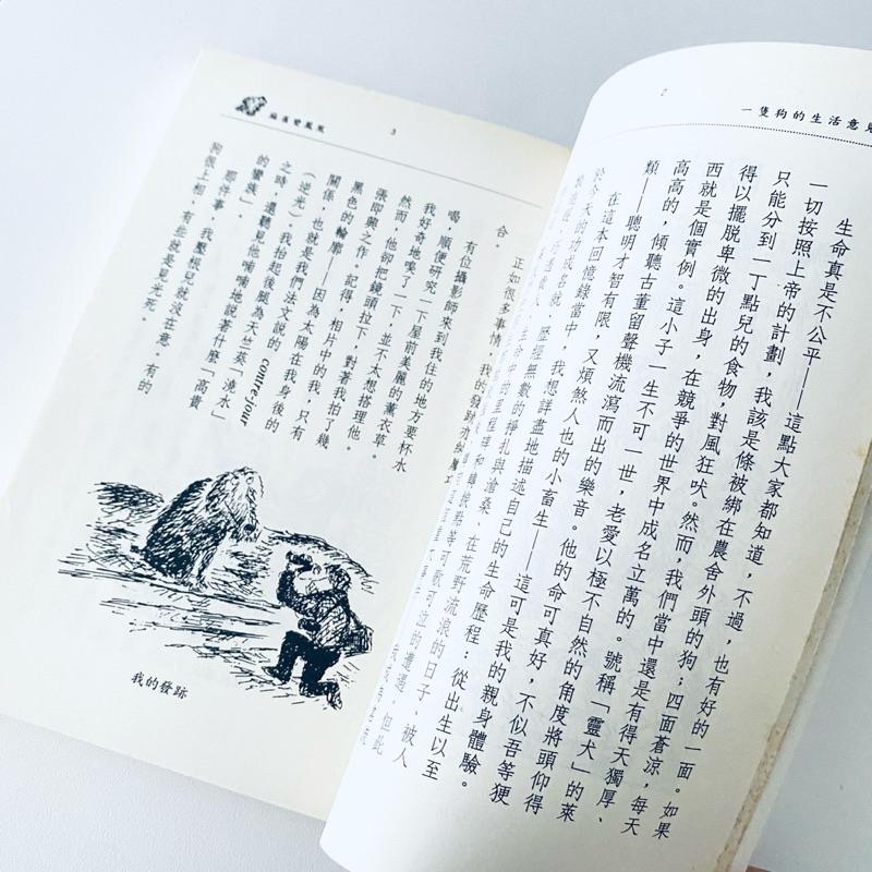 汪星人看👀世界！【一隻狗的生活意見】英國作家彼德．梅爾 詼諧幽默的狗狗世界 二手書-細節圖6