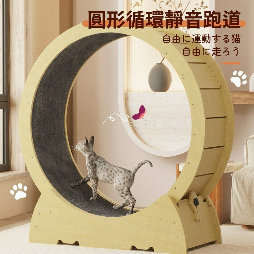 大型貓咪跑步機 寵物室內跑步機 貓跑步機 貓咪玩具 升級靜音輪-細節圖3