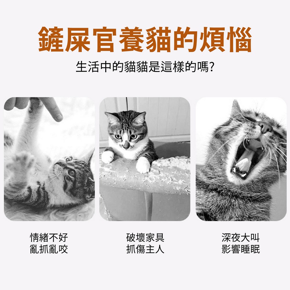 木質太空艙貓跳台 絨布麻繩貓爬架 旋轉貓窩-細節圖2