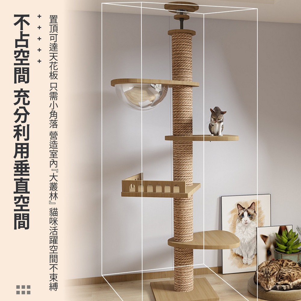 頂天立地貓跳台 木質貓咪跳台 貓樹一體太空艙-細節圖3
