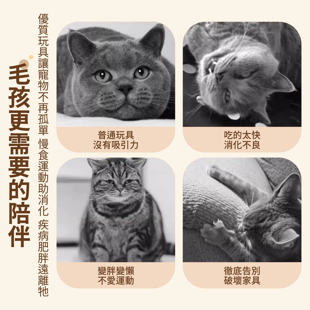 實木轉盤漏食球 貓咪玩具球 寵物搖搖漏食球-細節圖2