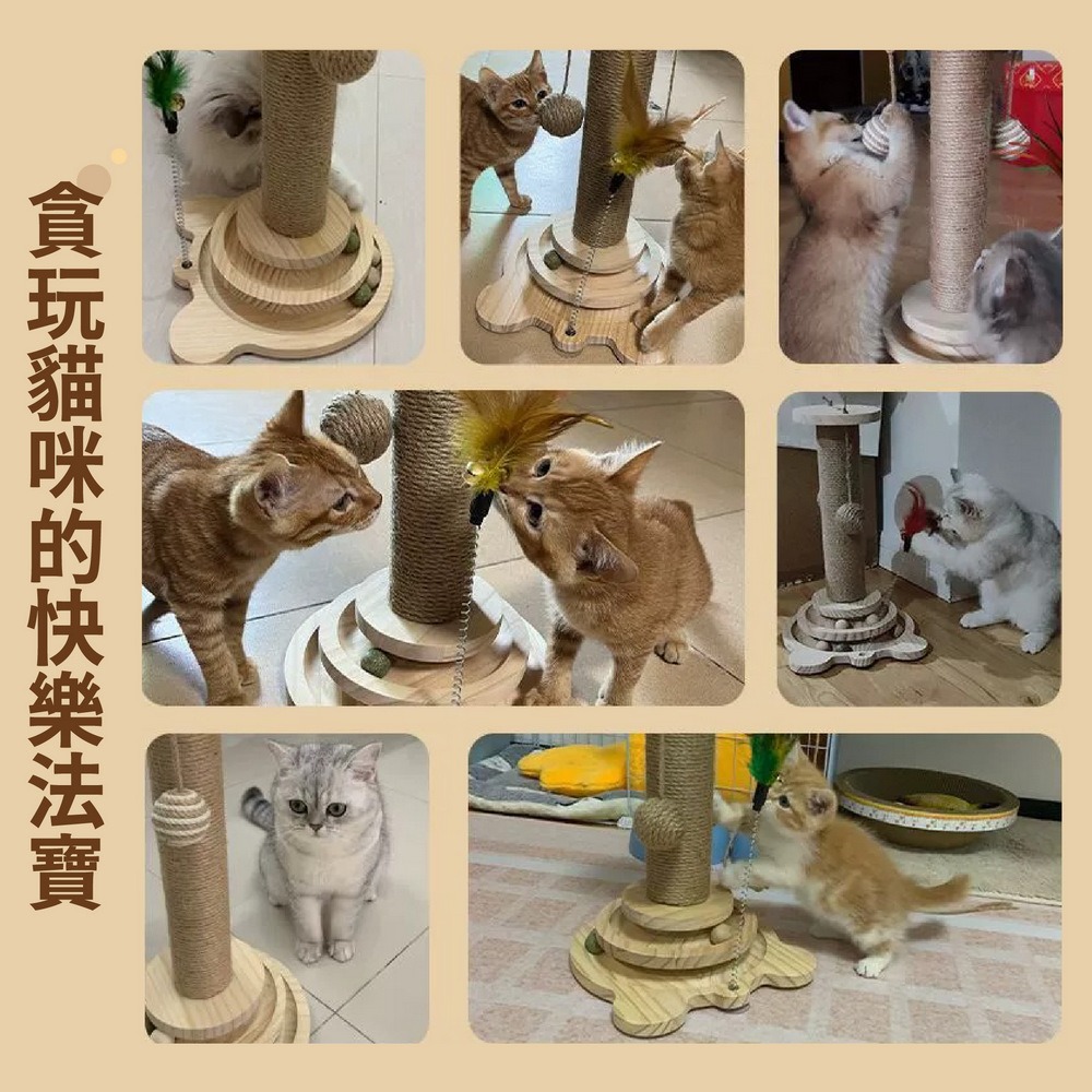 實木轉盤漏食球 貓咪玩具球 寵物搖搖漏食球-細節圖3