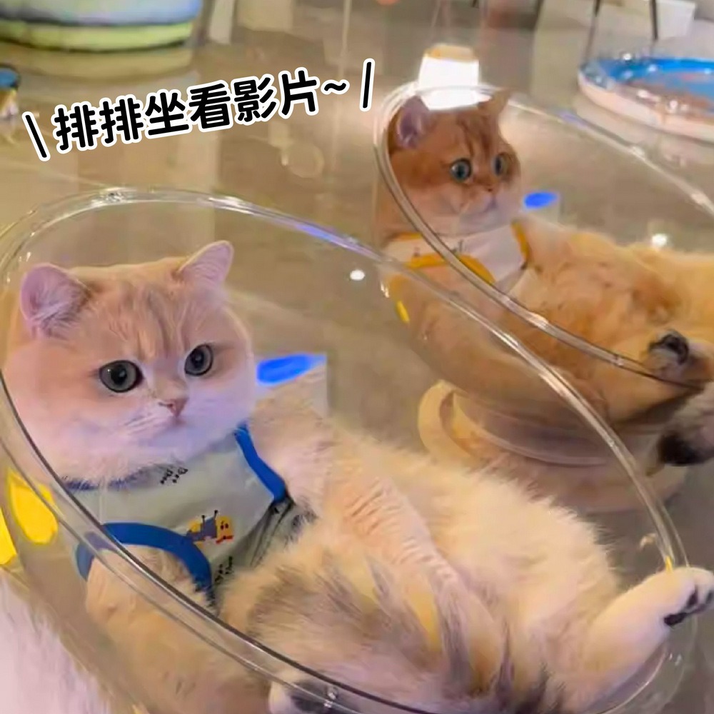 轉盤款太空艙貓窩 送保暖墊  可旋轉貓咪太空艙 太空艙貓轉盤-細節圖3