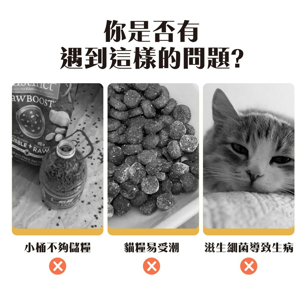 寵物密封飼料桶 彈蓋式儲糧桶 防潮貓咪飼料桶-細節圖2