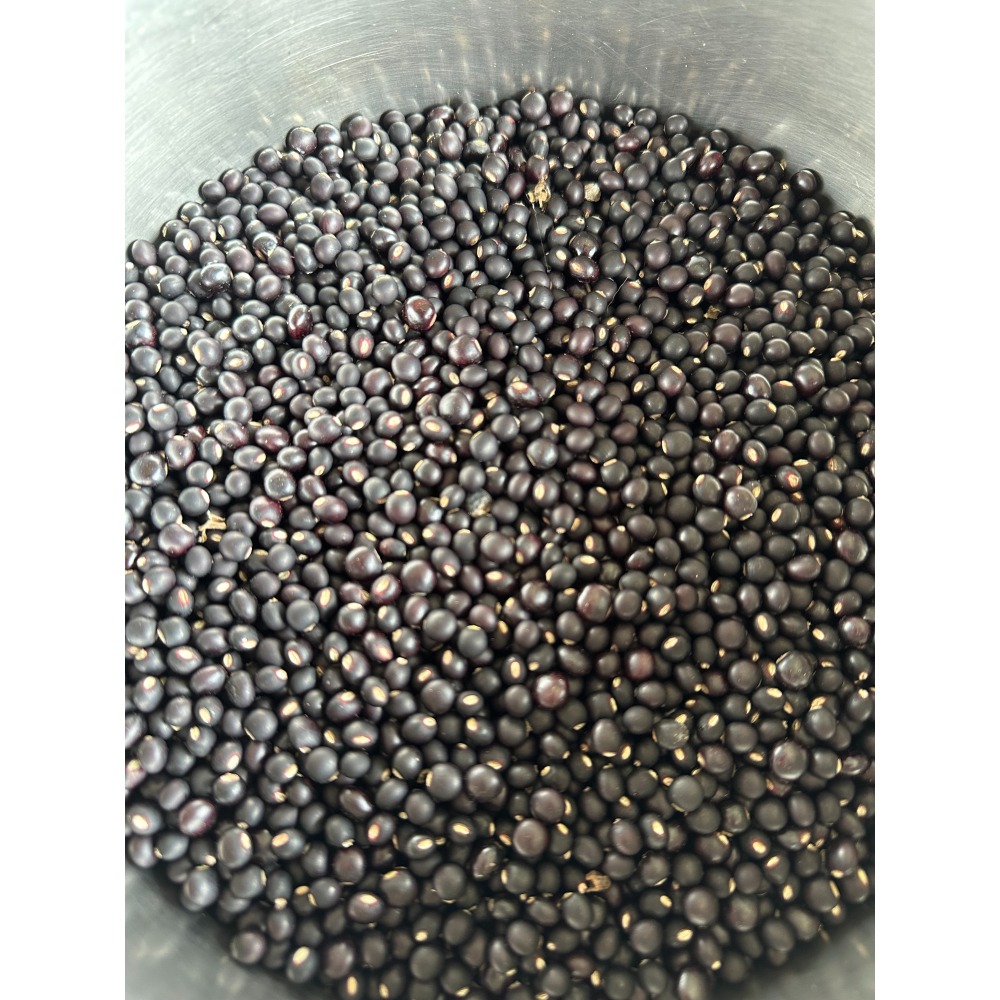 小樹林農場 勇士樹豆-細節圖2