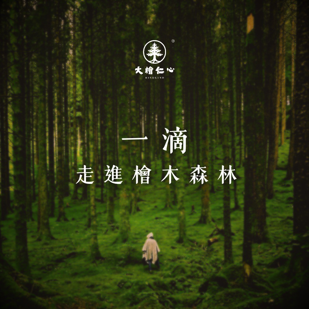 滾珠瓶-臺灣檜木精油-大檜仁心-細節圖4
