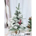 聖誕前夕特惠🎄聖誕樹🎄白雪款/原樹款-規格圖4