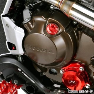 現貨 鋁合金機油螺絲 紅 黑 CRF250L CRF300L MONKEY125 CT125 日本 ZETA 浩哥部品-細節圖5