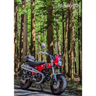 預購 DAX125 臘腸 大燈罩 頭罩 大燈 罩 燈罩 風鏡  MOTOZAAA 浩哥部品-細節圖6