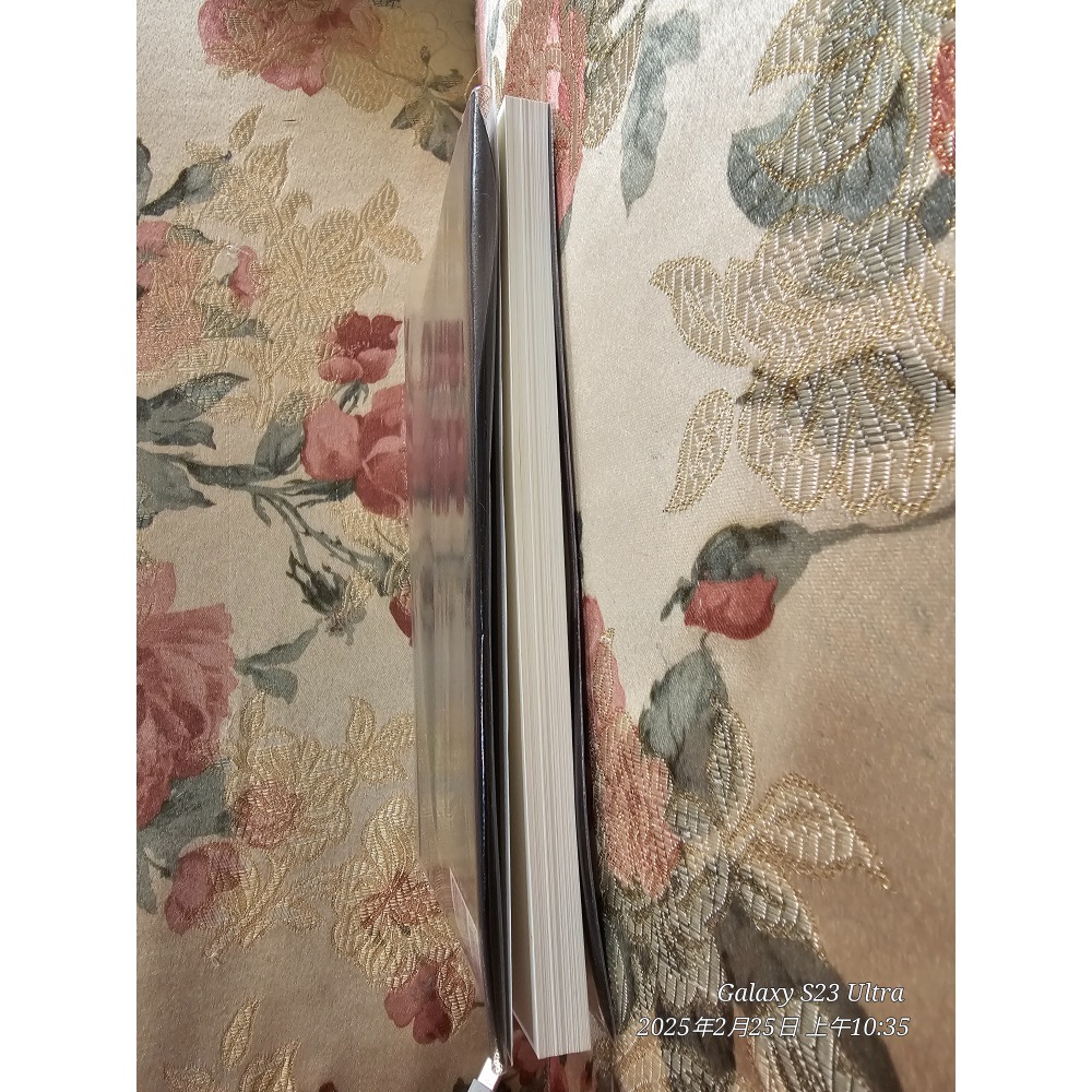 二手 苓菁 桃花劫 有包書套-細節圖2