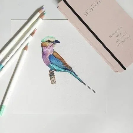 現貨】【日本製🇯🇵】TOMBOW 蜻蜓 IROJITEN 色辭典色鉛筆｜全套三集90色｜油性色鉛筆｜典藏書盒設計-細節圖5