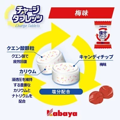 【現貨 日本製🇯🇵】KABAYA 卡巴鹽糖 81g｜鹽味糖 錠狀糖果｜運動飲料風味｜檸檬風味｜梅子風味｜日本零食-細節圖6